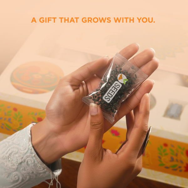 Multipro Premium Festive Gift Box – Embrace the Essence of India